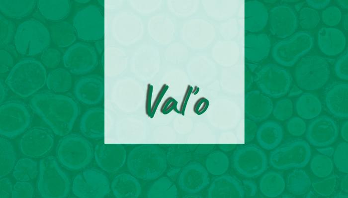 Valo