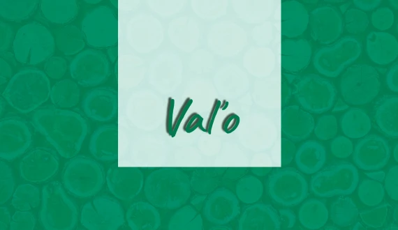 Valo