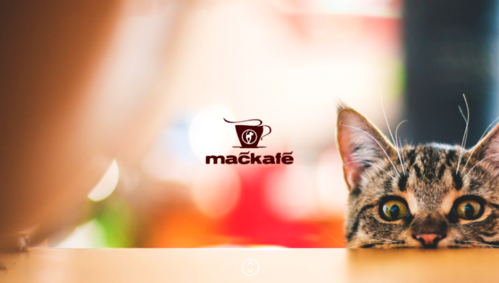 Mačkafé